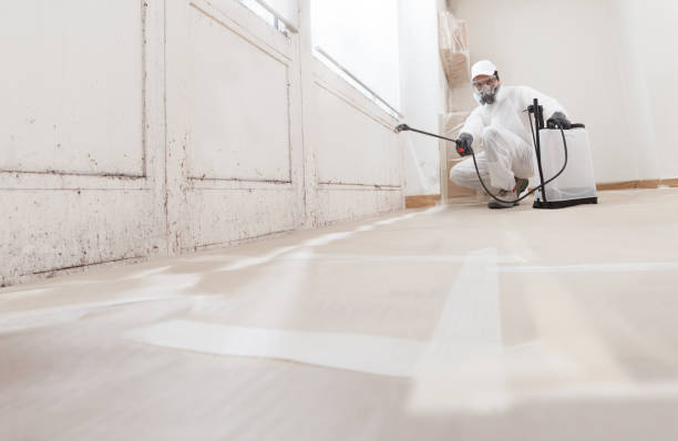 24/7 Emergency Commercial Mold Remediation experts in Bellaire, TX